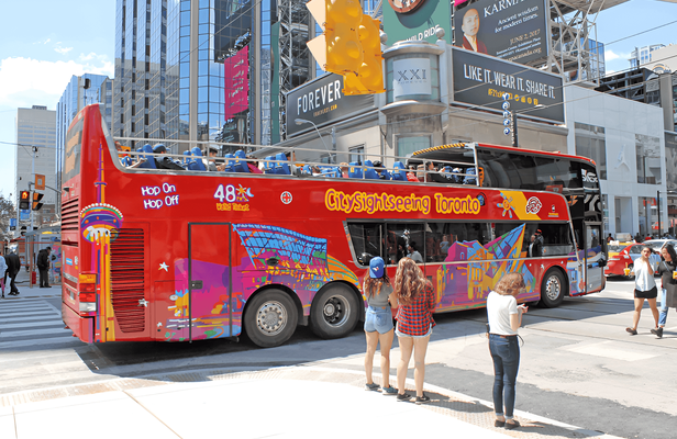 Toronto hop-on hop-off bus tour with night option