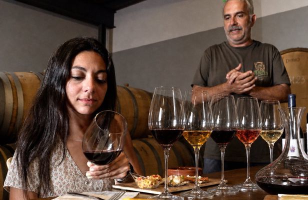 Half-day winery tour with wine tasting and tapas