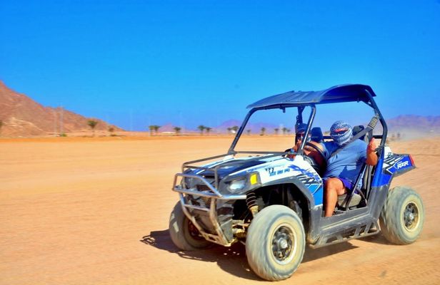 Sand Buggy Evening Experience with Dinner and Show in Hurghada Desert
