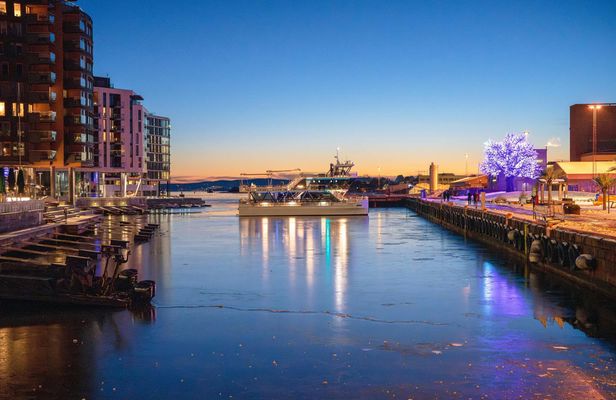 Picturesque dinner cruise in Oslo