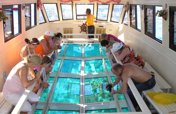 Glass-bottom boat tour from Sharm El Sheikh