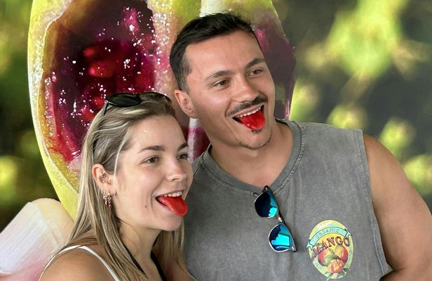 Red cactus farm experience with tasting in southern Tenerife