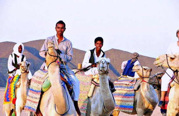 Quad experience with camel ride in the desert of Marsa Alam