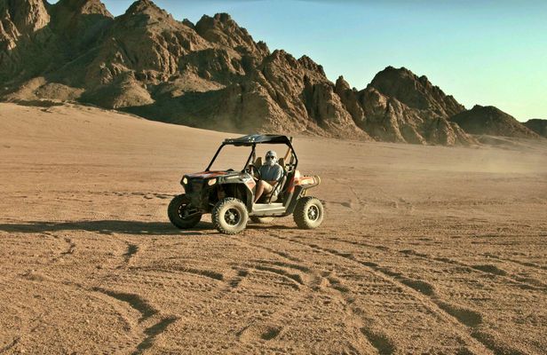 Morning buggy tour with camel ride in Marsa Alam