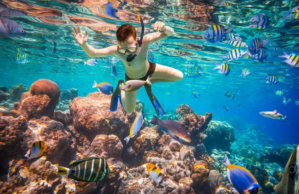 Port Ghalib Snorkeling Cruise from Marsa Alam with Lunch and Drinks