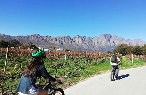 Franschhoek Winelands 7 hour Private E-Bike Tour with Lunch