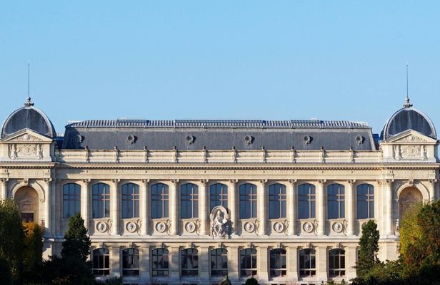 Grande Galerie entry ticket and Paris audio city tour