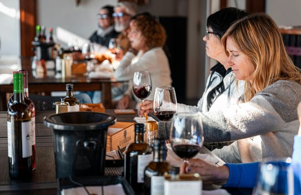 Douro Valley wine tour with 2 wineries, lunch and river cruise