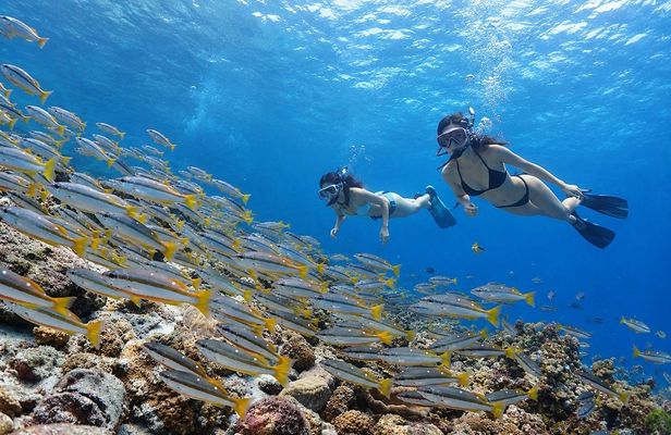 Full-day snorkelling and yacht adventure in Racha Island