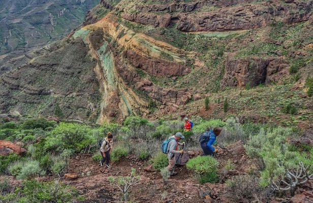 Full-day hiking tour in Gran Canaria: route of the week