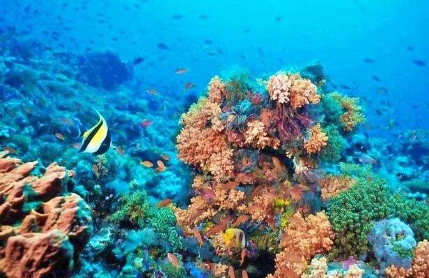 Nefertari yacht evening VIP cruise from Marsa Alam