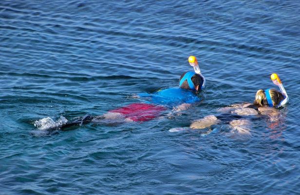 Private boat and snorkeling trip in Marsa Alam with lunch