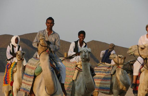 Super 4x4 safari with sand buggies and camel ride in Marsa Alam