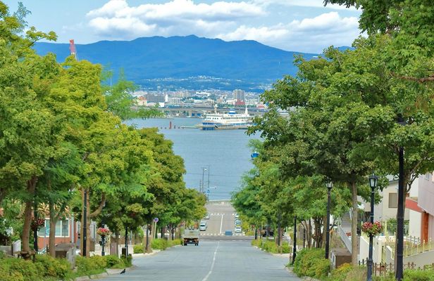 Private Hakodate excursion with Mount Hakodate and Goryokaku