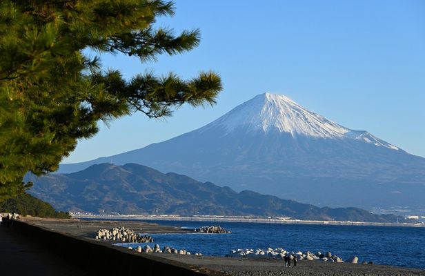 Shimizu private tour with Mount Fuji views and Kunozan Shrine