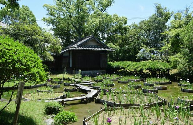 Yatsushiro private tour with Yatsushiro Shrine and Shohinken