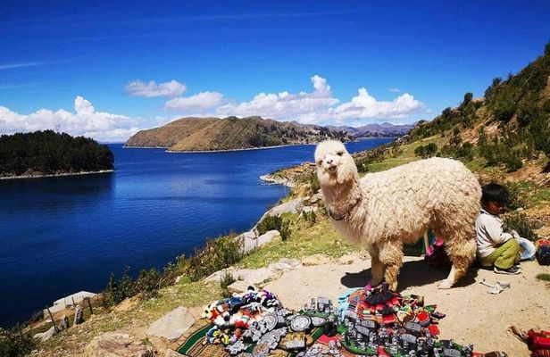 Copacabana and Isla del Sol guided day trip from La Paz