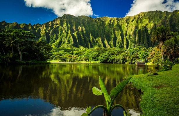 Ultimate Oahu Grand Circle Island self-guided driving tour