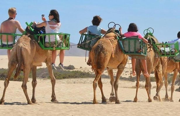 e-Scooter step city sightseeing tour and Maspalomas dunes by camel