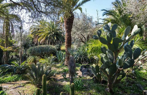 Parco Paternò del Toscano guided tour with optional picnic