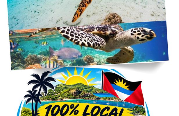 St John's snorkel with sea turtles at Green Island