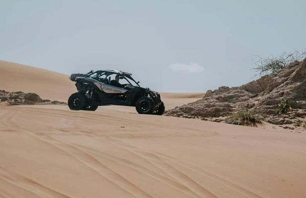 Agadir combo buggy and camel ride