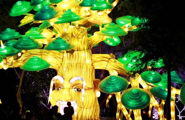 Dubai Garden Glow admission tickets and transfer