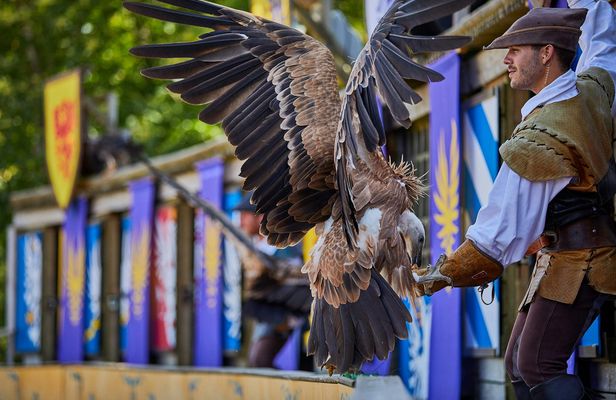 Entrance ticket to Puy du Fou