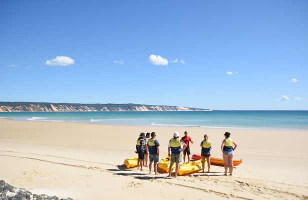 Noosa Dolphin View Sea Kayak and Beach 4X4 Adventure Day Tour