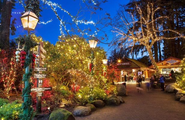 Vancouver and Capilano Canyon lights Christmas guided tour