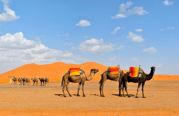 Three-day desert tour to Marzouga from Agadir with traditional Bedouin overnight stay