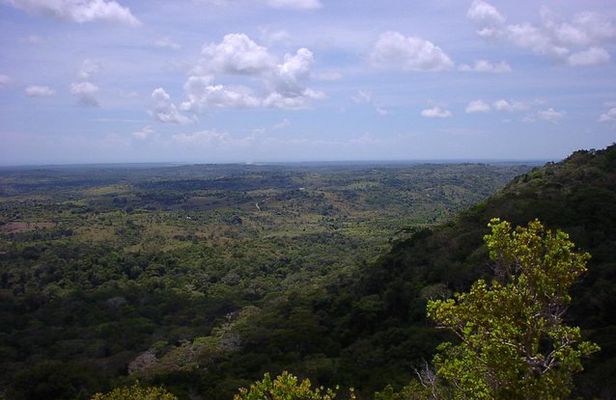 Small-Group Tour: Shimba Hills National Park from Diani Beach