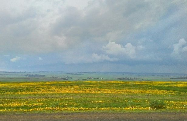 Explore the Ethiopian Rift Valley Lakes and the UNESCO Site of Steles of Tiya