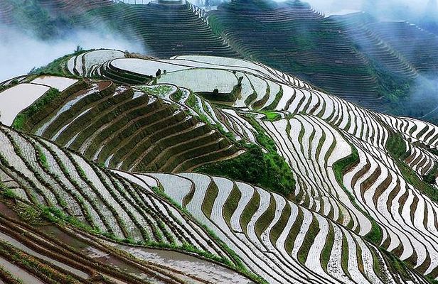 2-Day Private Tour: Classic Li River Cruise and Longji Terrace Tour