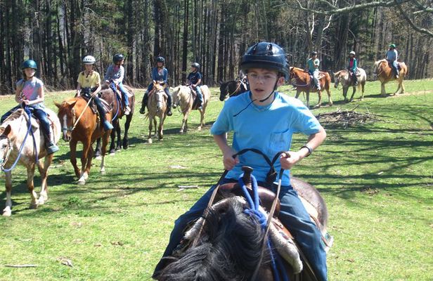 Guided Horseback Riding Adventure on the Flame Azalea Trail