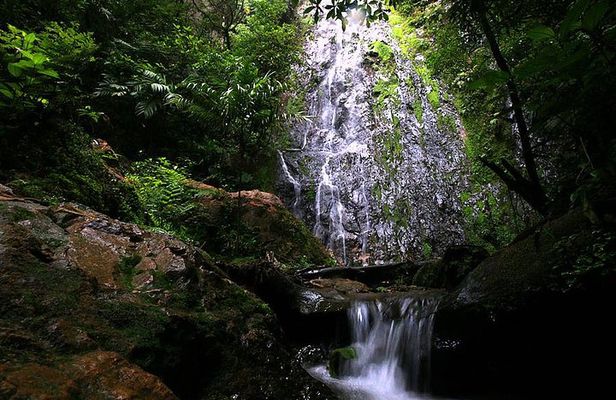 Day Trip to La Tigra and El Picacho Park