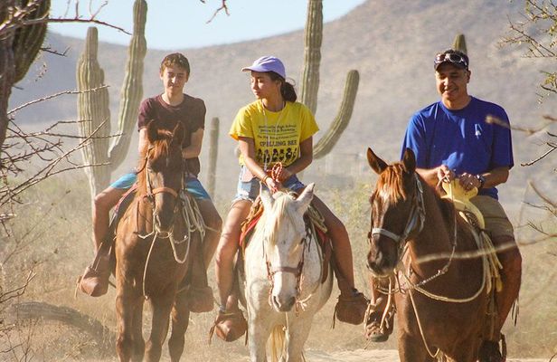 Horseback Riding Tour in Los Cabos