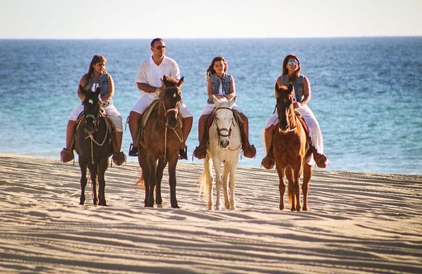 Horseback Riding Tour in Los Cabos