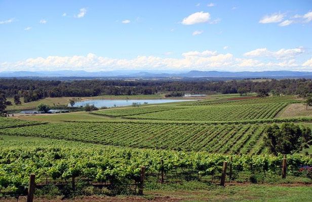 Private Hunter Valley Wine-Tasting Day Tour from Sydney