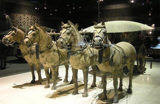 Xian Terracotta Warriors and City Wall Private Day Tour