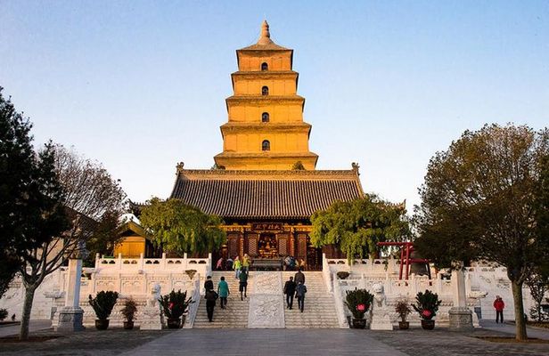 One Day Terracotta Army and Big Wild Goose Pagoda Private Tour