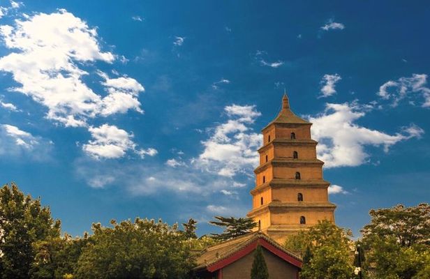 Xian Small Group Day Tour:Terracotta Army, Big Wild Goose Pagoda and City Wall