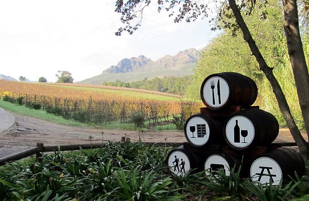 Vine Hopper: Hop-On Hop-Off Wine Tour - Southern Route