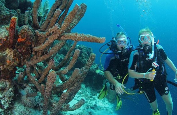 Certified Scuba Diving in Curacao