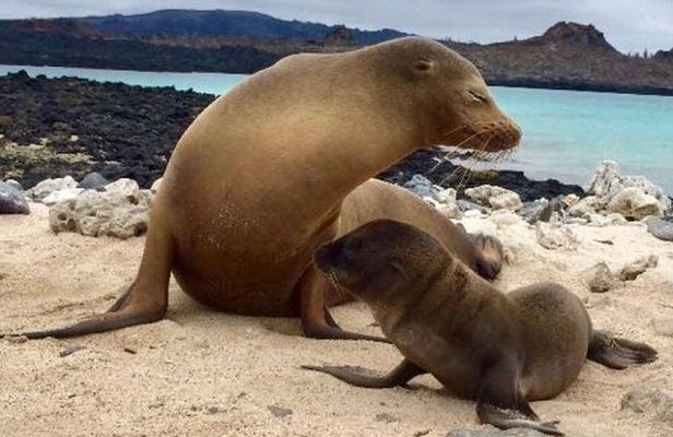 Galapagos 5-Day Tour Beyond the Islands