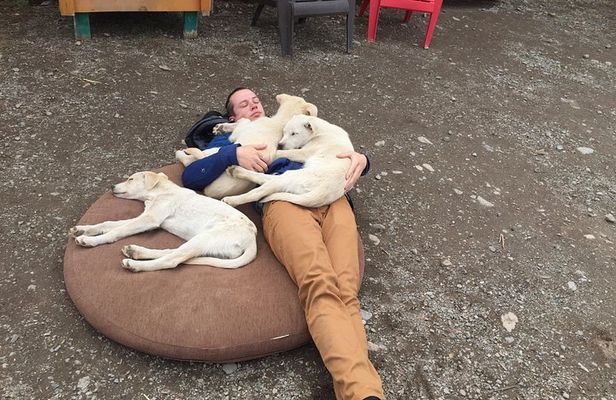 Dog Camp Activity and Pan for Gold from Skagway
