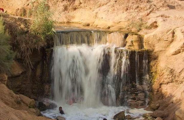 Valley of Whales and Wadi El Rayan Water Falls Day Tour from Cairo