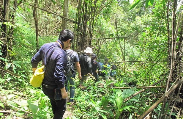 Small Group : Trekking Trip in Chiang Mai (Doi Suthep Area) with Market Tour