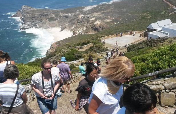 Best of the Cape (Cape Point & Winelands)
