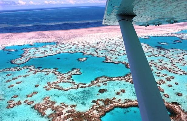 8-Day Cairns Tour: Great Barrier Reef, Kuranda, Daintree Rainforest